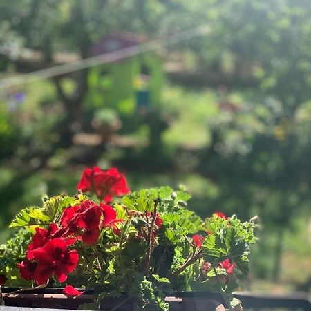 Apartman Dalija Vinkuran Εξωτερικό φωτογραφία