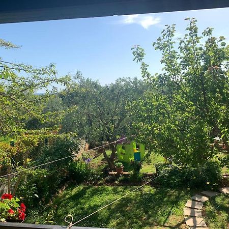 Apartman Dalija Vinkuran Εξωτερικό φωτογραφία