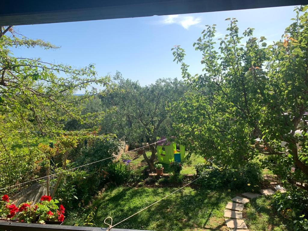 Apartman Dalija Vinkuran Εξωτερικό φωτογραφία